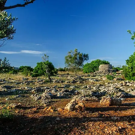 Villa Antica Torre Vista Mare Con Jacuzzi - Apulia